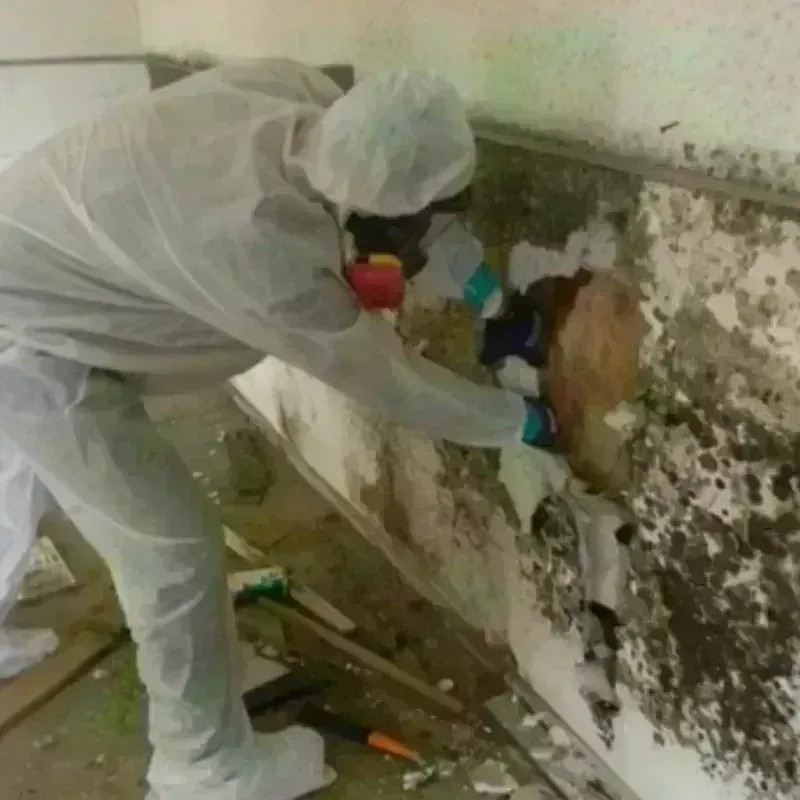 Mold Remediation and Removal in Saddle River, NJ